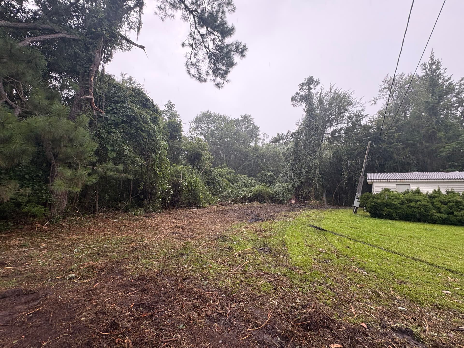Brush Mulching Clears Overgrown Land Without the Mess