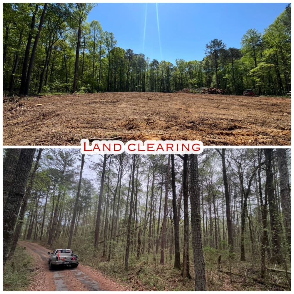 Before and after land clearing showing a cleared area and dense forest.