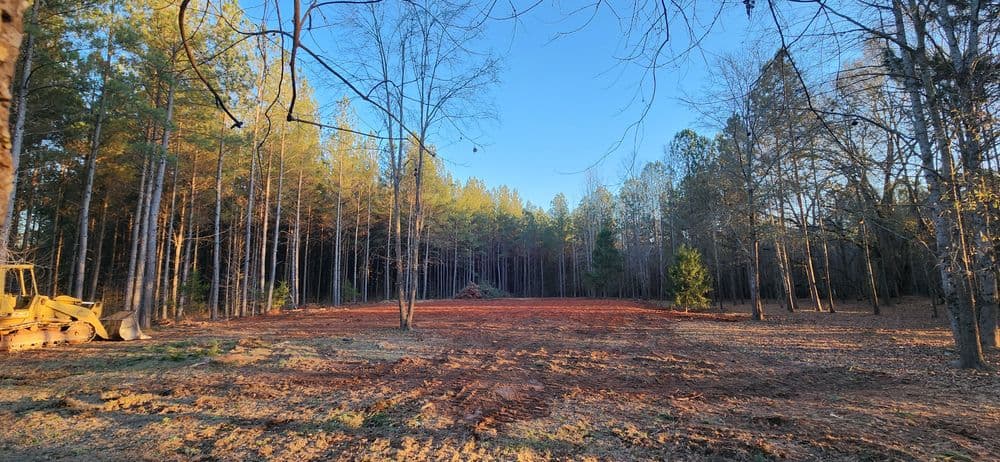 Cleared forest area with soft earth and trees under blue sky, showcasing land development.