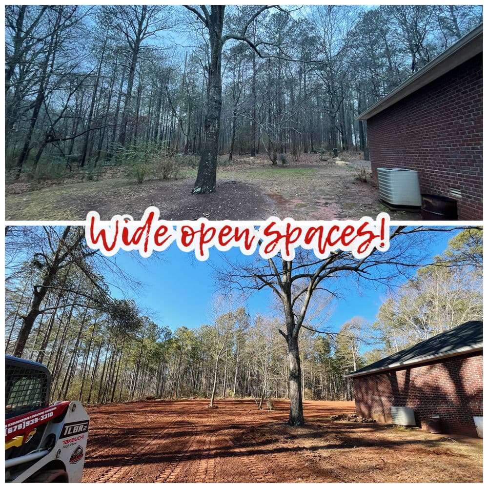 Transformation of wooded area to open space, showcasing clear land and surrounding trees.