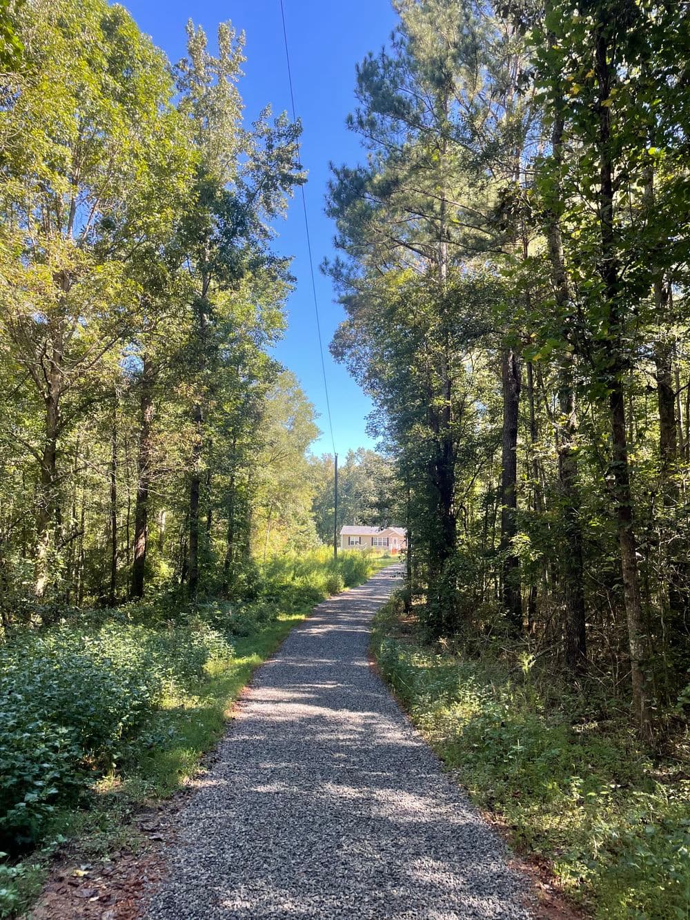 Gravel pathway through a lush forest leading to a house on a sunny day.