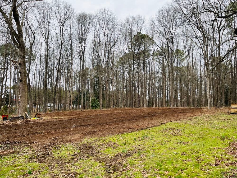 Cleared garden plot in a wooded area, ready for planting, with bare trees in the background.