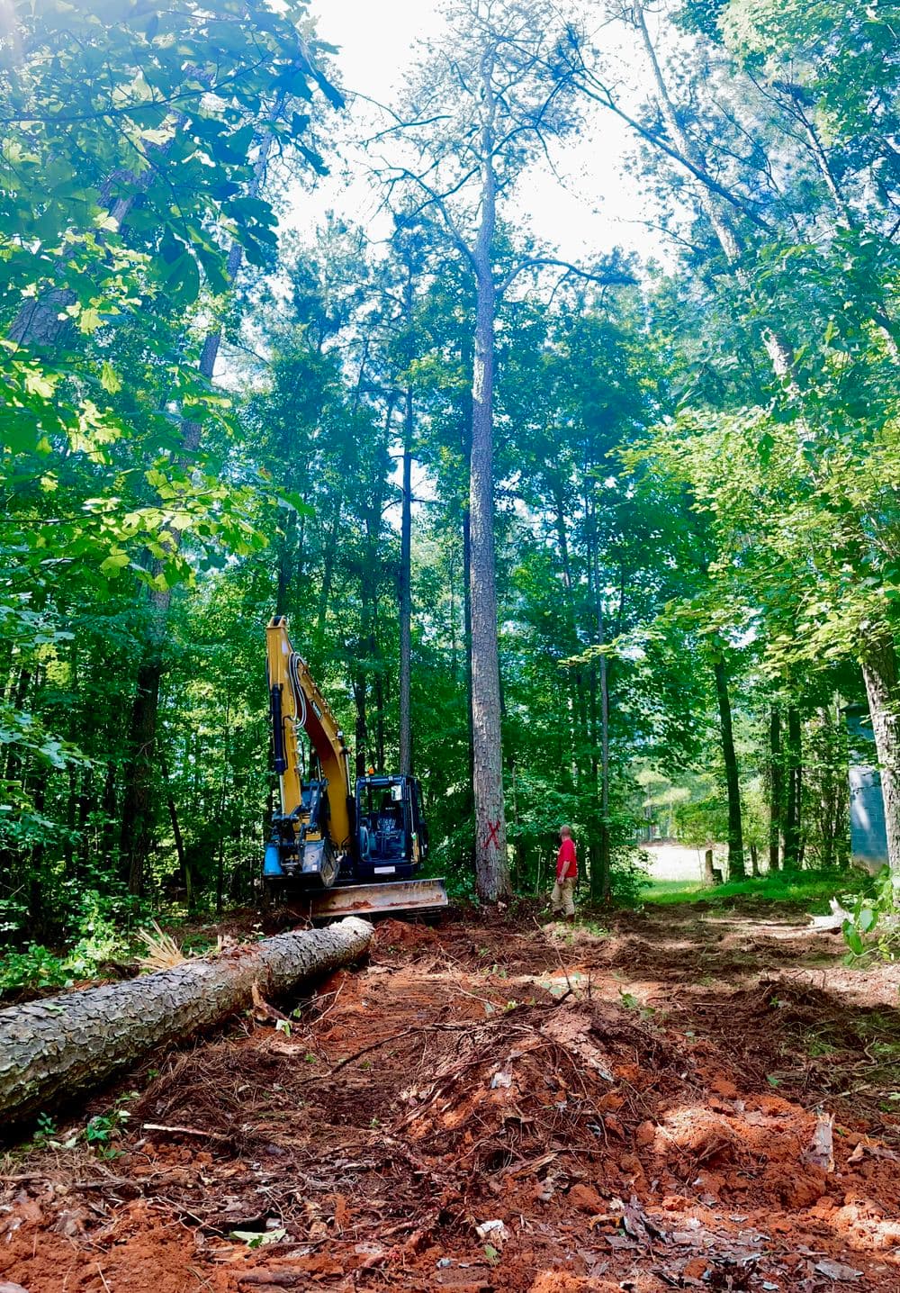 Excavator cutting down trees in a wooded area with a worker in red attire.