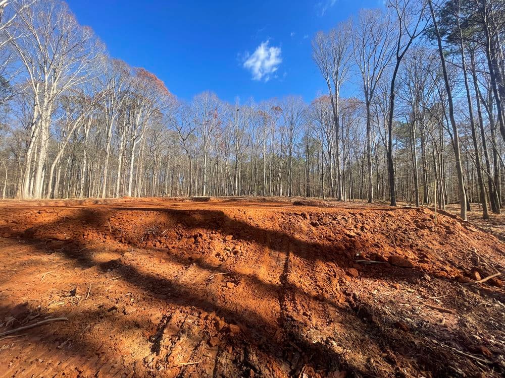Cleared forest land with exposed red soil under a blue sky and leafless trees.