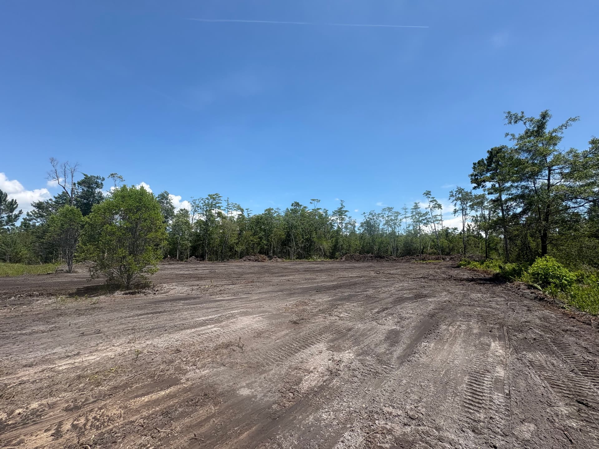 Gallery photos for Land Clearing for a Future Home and a Family That Needed It: Image #7