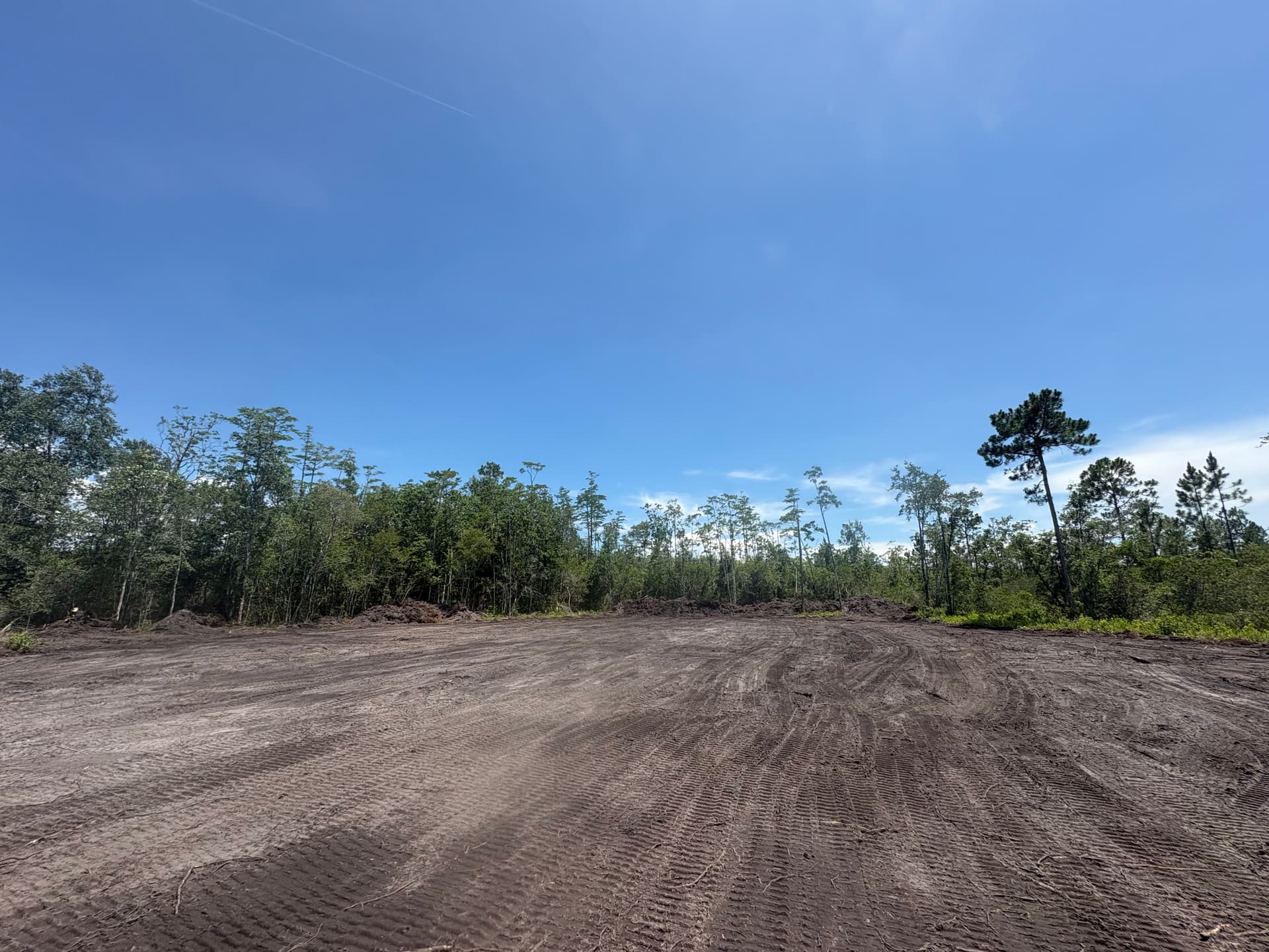 Gallery photos for Land Clearing for a Future Home and a Family That Needed It: Image #5