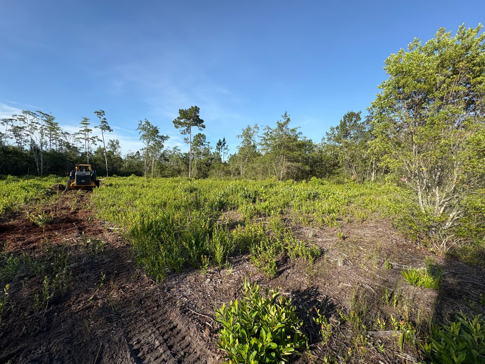Land Clearing for a Future Home and a Family That Needed It image