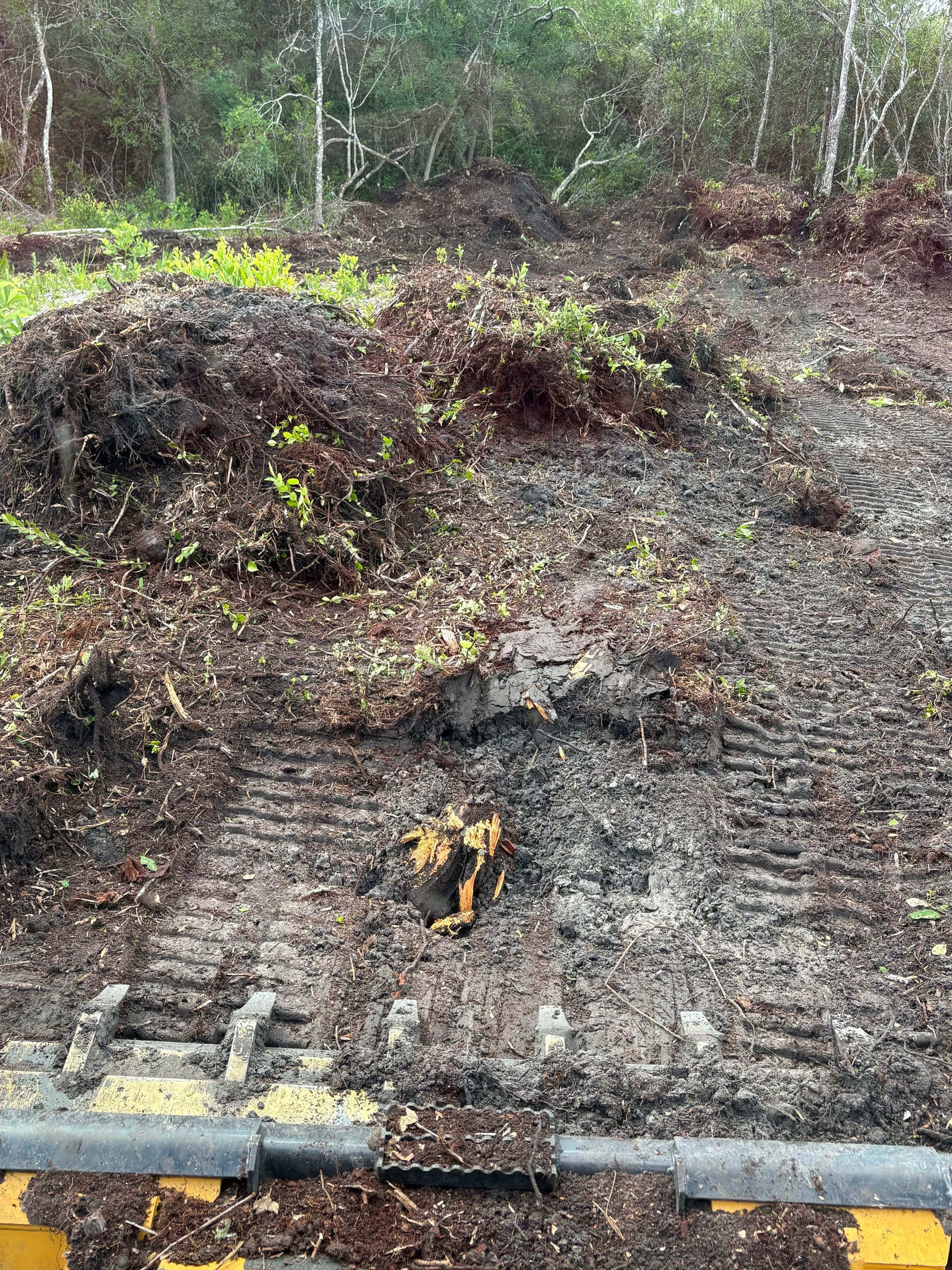 Gallery photos for Land Clearing for a Future Home and a Family That Needed It: Image #3