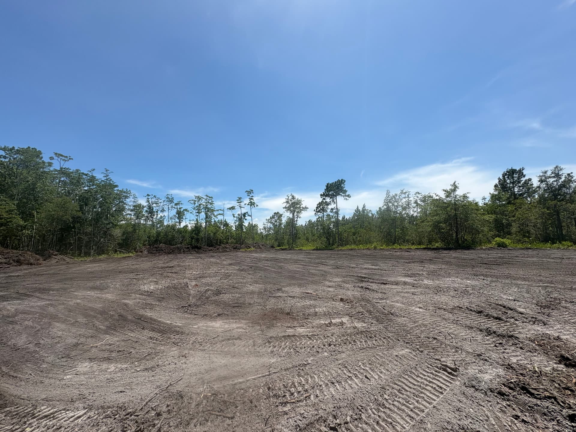 Gallery photos for Land Clearing for a Future Home and a Family That Needed It: Image #4