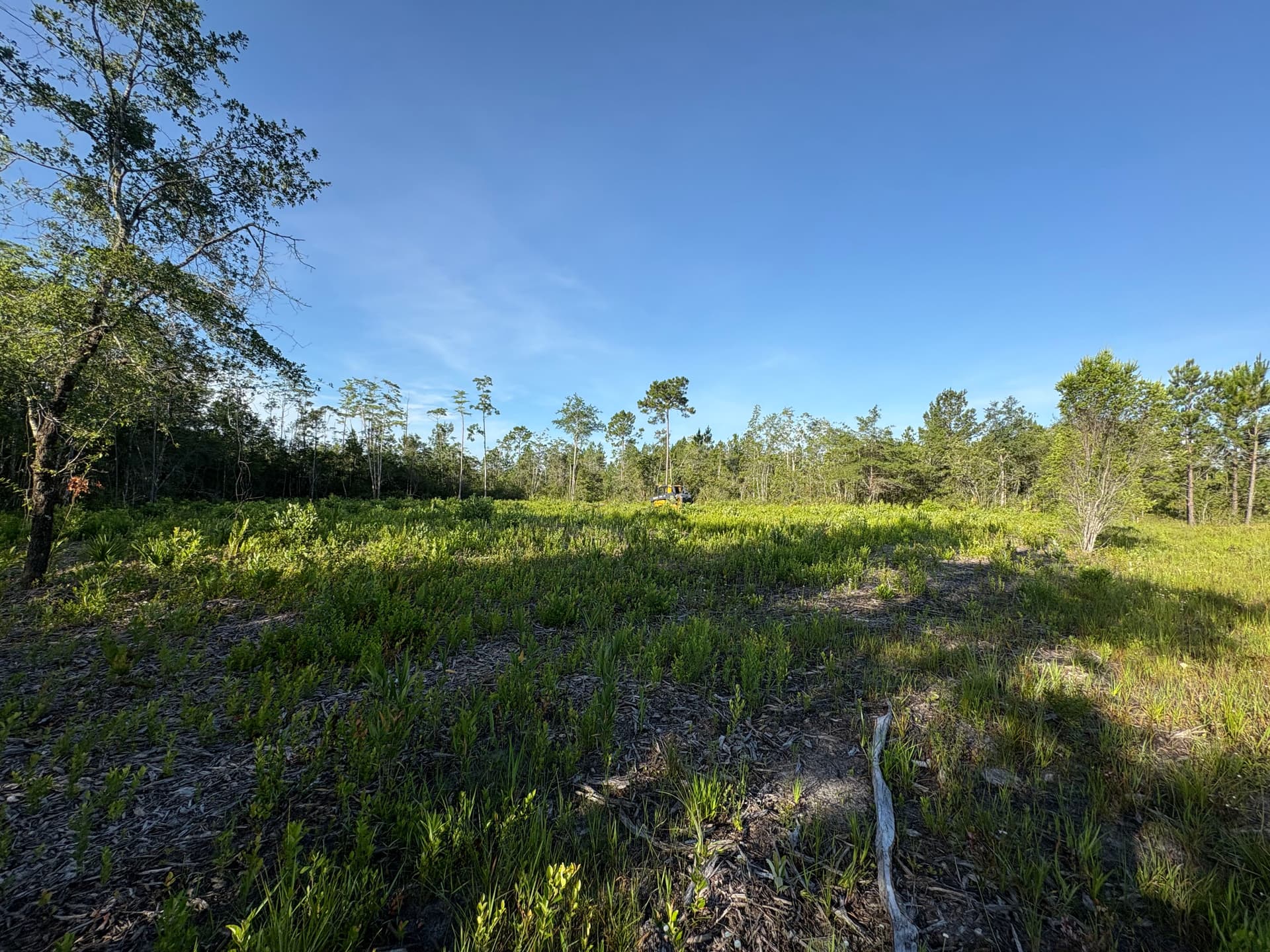 Gallery photos for Land Clearing for a Future Home and a Family That Needed It: Image #2