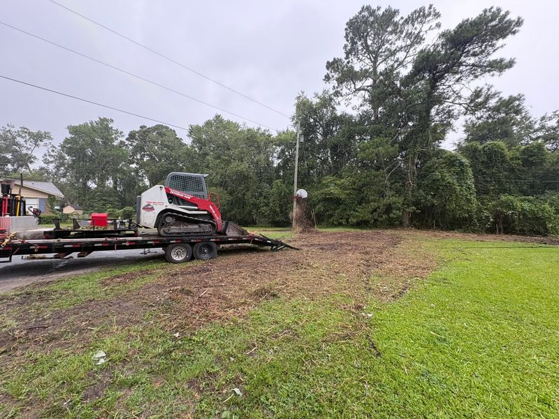 Land clearing project in Dover Bluff, GA