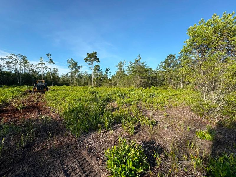 Land clearing project photo in Dover Bluff, GA